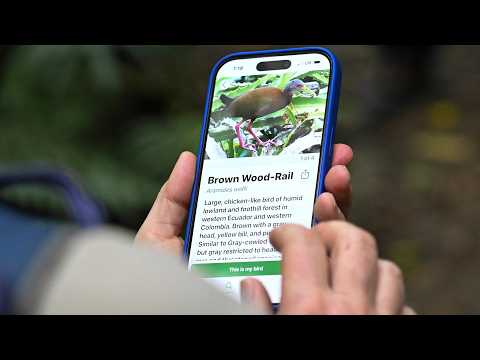 Bird Watching Apps Bring More People Into the Wild