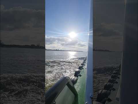 the best view of The Netherlands #yt #shortsvideo #sailing #last #trip