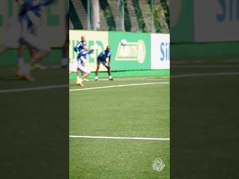 image para ilustrar o artigo