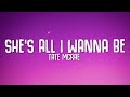 Launch Mini Player