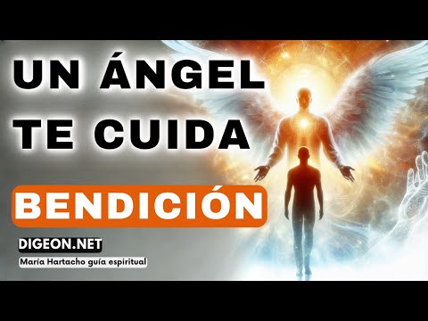 NO TE PREOCUPESMENSAJE DE LOS ÁNGELES PARA TI -DIGEON- Arcángel Uriel- Ens. VERTI