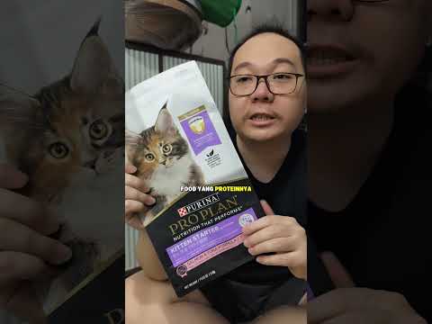 review dry food kucing pro plan kitten starter