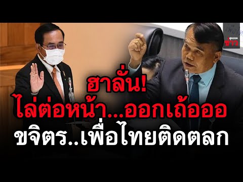 ข่าวล่าสุด!-ขจิตร-เพื่อไทย-ติด ข่าวล่าสุด!-ขจิตร-เพื่อไทย-ติด