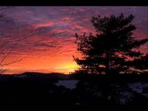 guten abend, gute nacht