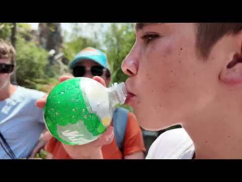 Vlog: A Day At Disney's Hollywood Studios Park
