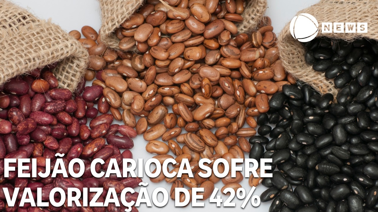 Feijão carioca sofre valorização de 42% em 12 meses
