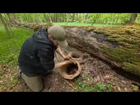 Steps I built a shelter the natural way