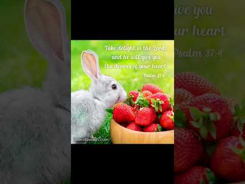 #worshipmusic #christianmusic #cute #love #christiansongs #dailybibleverse #rabbit #gospelmusic