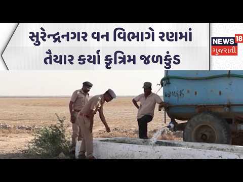 Surendranagar Forest Department | સુરેન્દ્રનગર વન વિભાગે રણમાં તૈયાર કર્યા કૃત્રિમ જળકુંડ