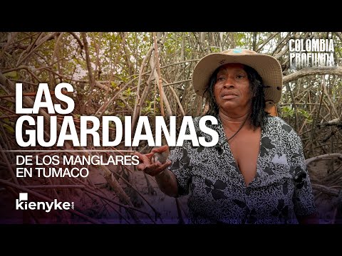 Las guardianas de los manglares en Tumaco