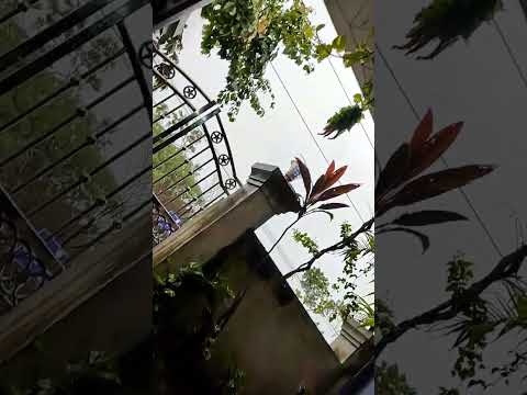 #diwalispecial #song 😂😂😂#subscribe