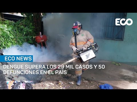 Dengue supera los 29 mil casos y 50 defunciones en el país | #EcoNews