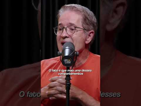 o CASO do CACHORRO ORELHA