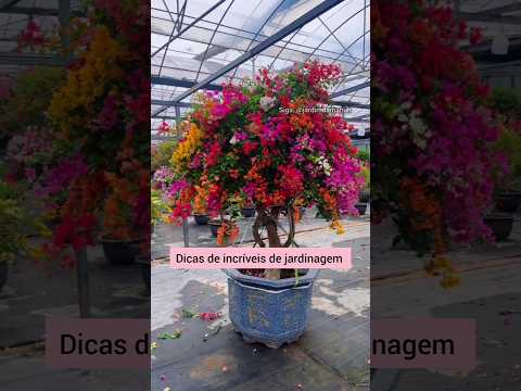 Dicas incríveis de jardinagem #planta #dicasdejardinagem #jardim #jardinagem