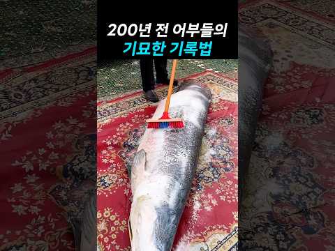 200년 <strong>전</strong> 어부들의 기묘한 기록법