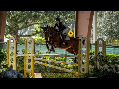 Dodicci & Carsyn Korotkin NAL 1.20 Classic (5th) ESP October 2025 