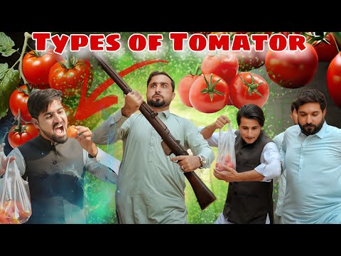 Types of Tomator | Zindabad vines  2025 | Pashto funny videos 2025