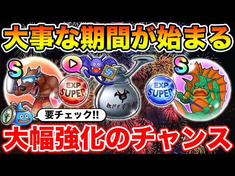 【ドラクエウォーク】大事な期間が始まります!! 大幅強化のチャンス…要チェックです!!【DQW】のサムネイル