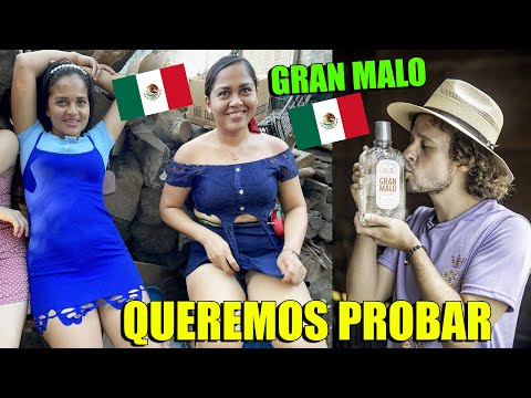 LAS CHICAS SV Quieren Porbar El Tequila de LUISITO COMUNICA GRAN MALO - Tequila Mexicano