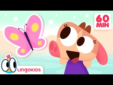 HIDE AND SEEK SONG 🦋🎶 + More Songs for Kids | Lingokids