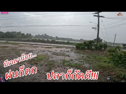 มีเวลาน้อยฝนก็ตกกัดจนไม่อยาก