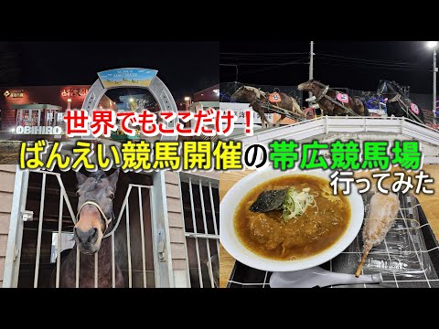 【世界唯一!】帯広競馬場はばんえい競馬以外も楽しめる!