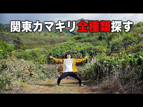 【神回】関東に生息するカマキリ全種類探しに行ってみた！[２]