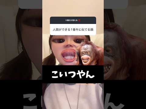 週2で子羊ちゃん達の質問に答えてみる/// #質問コーナー#相談#ドンテンタン#レイクレ