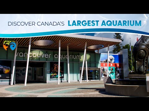 Connect with the Incredible at Canada's largest aquarium!