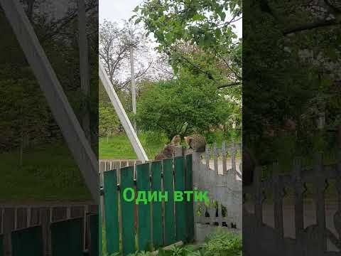 18 травня 2026 р.