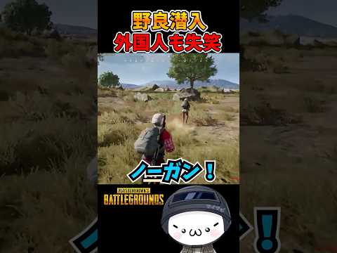 野良潜入で外国人に失笑されるw【PUBG】 #pubg #vtuber #shorts