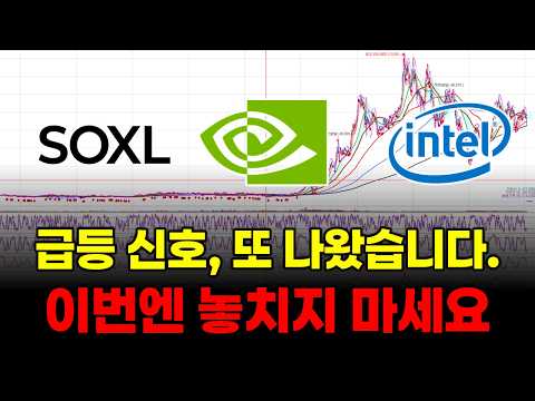 이번엔 놓치지 마세요 (SOXL 인텔 테슬라 엔비디아 TQQQ SPY <strong>알파벳</strong> ARM