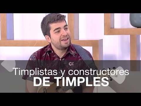 Timplistas y constructores de timples