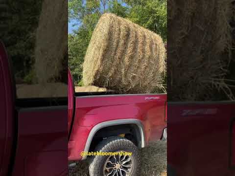 Got hay? #garden #homesteader #gardening #growyourownfood