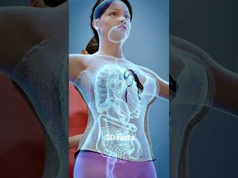 आखिर क्यों इंग्लैंड की महारानी अपने फ्रॉक के नीचे दो नौकरानी छुपा कर रखती थी?#facts #ytshorts