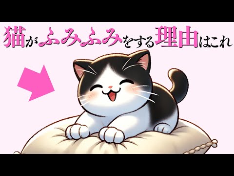 猫がふみふみをする理由と魅力について解説 サムネイル