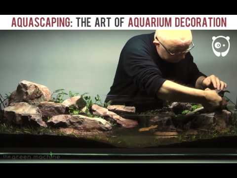 Aquascape Timelapse The Green Machine Tank Selecti The Art of Aquascaping Book now is available to download- https_//www.thegreenmachineonline.com/aqua