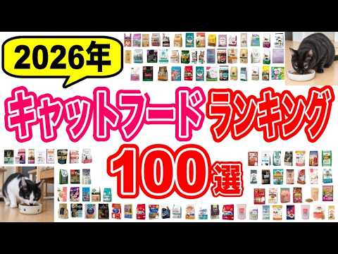 【2026年】獣医師おすすめキャットフードランキング100選!良質な猫のご飯