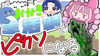 【マイクラ】生活鯖で現代のピカソになる#おかき鯖【Minecraft】