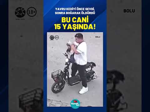 🚨 HASSAS İÇERİK❗️📌 YAVRU KEDİYİ ÖNCE SEVDİ, SONRA BOĞARAK ÖLDÜRDÜ… BU CANİ 15 YAŞINDA… #bolu