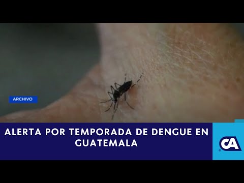 OPS alerta: Peor temporada de dengue en América Latina, Guatemala incluido