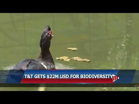 T&T Gets US$22 Million For Biodiversity