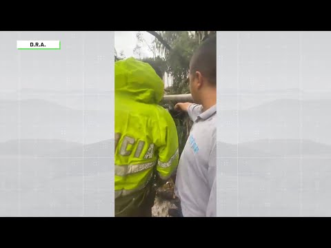 Árboles caídos, apagones e inundaciones - Teleantioquia Noticias