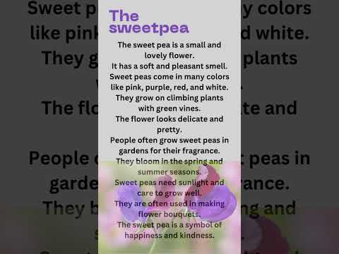 10 lines essay on flower sweet pea in English/My favorite flower sweet pea/beautiful flower 10 line