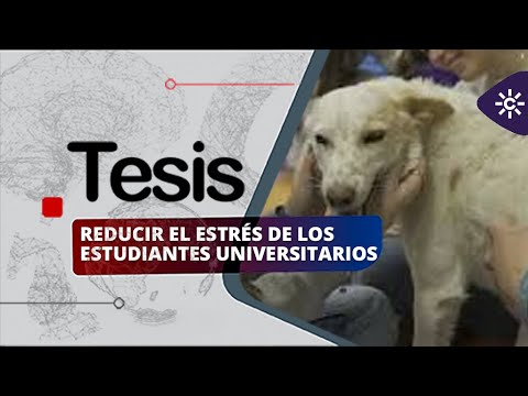 Tesis | Stressless': Reducción de ansiedad estudiantil con perros.