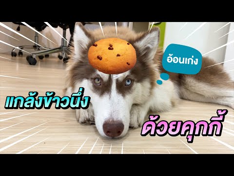 คุกกี้อร่อยจัง-โดนแกล้งซะงั้นน คุกกี้อร่อยจัง-โดนแกล้งซะงั้นน