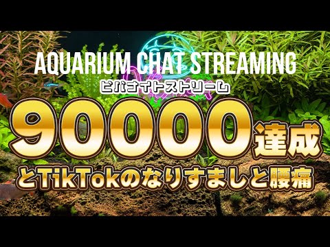 【毎週土曜22時配信】ゆるせねぇなりすまし!アクアリウムの雑談配信 【ビバアクア】 #アクアリウム