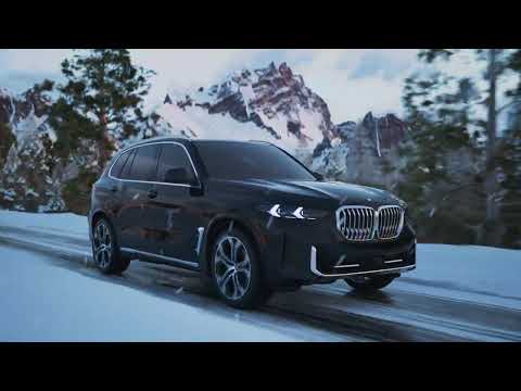 BMW X5 in a Winter Wonderland (Lo-fi music)