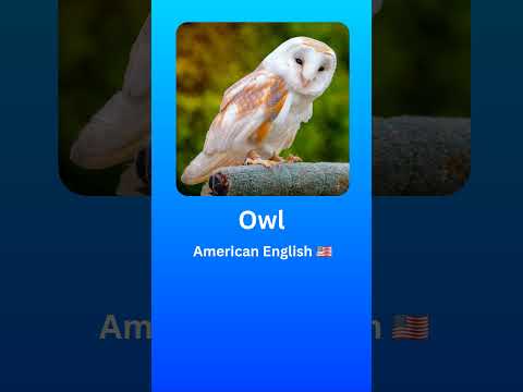 How to Pronounce Owl (American English 🇺🇲) #2024 #pronunciation #language #english #owl