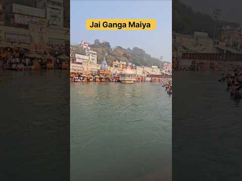 सुबह सुबह गंगा मैया के दिव्य दर्शन #haridwar, #youtubeshorts, #shortsvideo